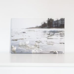 Lauttasaaren Kevät 1 (Signature edition)